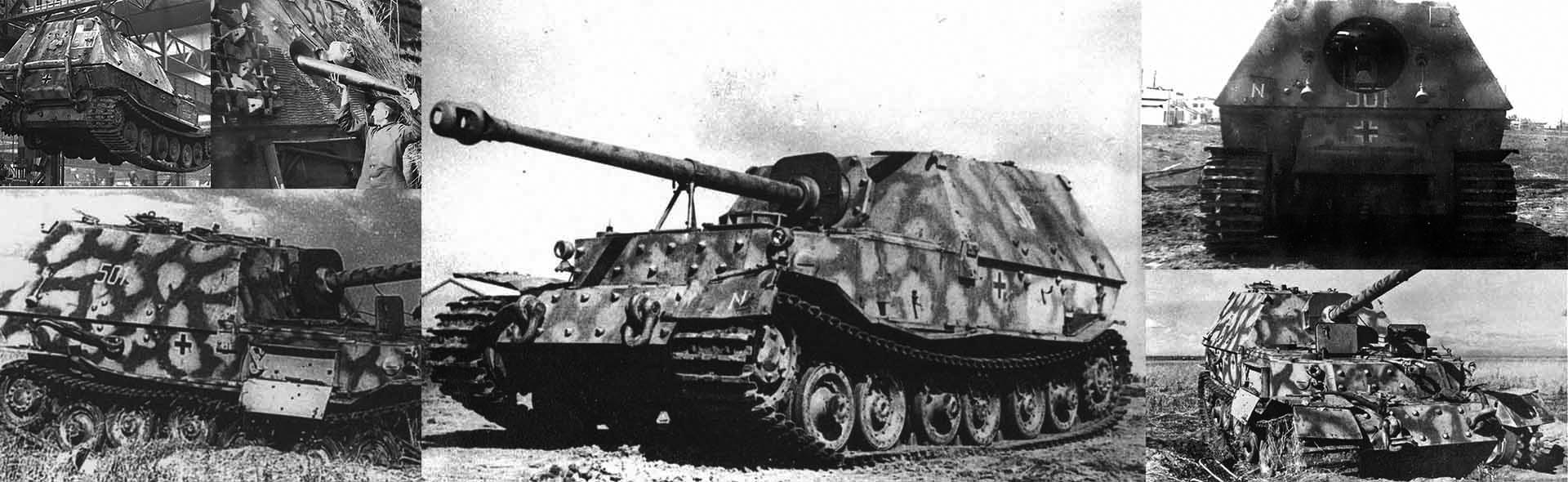 德国费迪南坦克歼击车 1943年库尔斯克会战，第654坦克歼击营第5装甲连-编号501