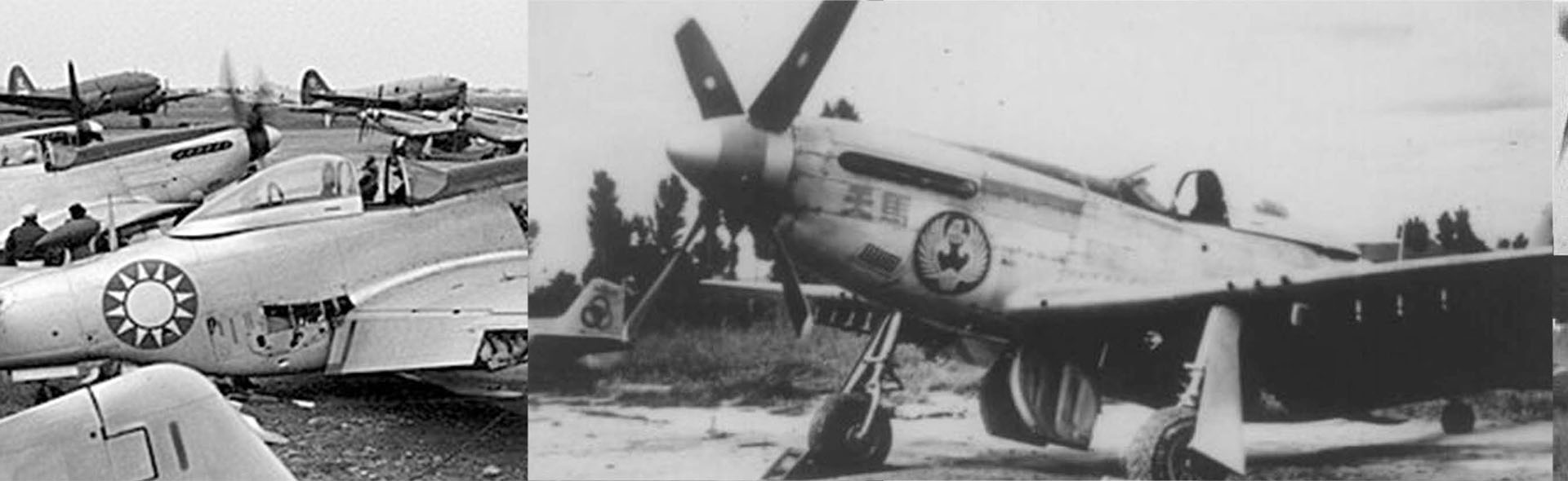 1/72 中华民国空军 P-51D "野马"战斗机 1949年, 中华民国空军第4大队21中队, 郑永达中队长座机, 垂尾编号  P-14275 2192