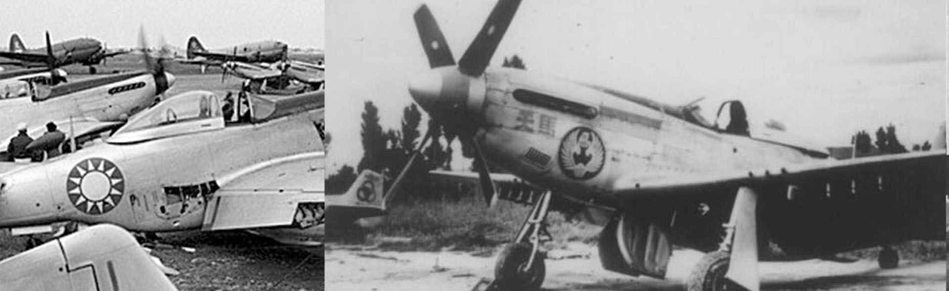 1/72 中华民国空军 P-51D "野马"战斗机 1949年, 中华民国空军第4大队, 徐华江大队长座机, 垂尾编号 P-14369 2199