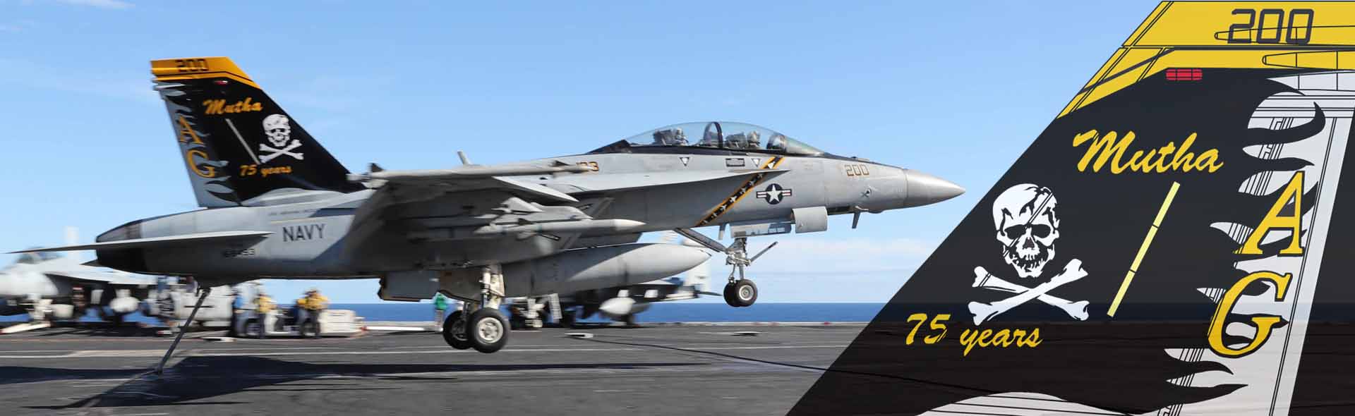 F/A-18F超级大黄蜂战斗机 VFA-103 “海盗旗” 2018年美国海军林肯号航空母舰“海盗旗”VFA-103攻击战斗机中队，75周年纪念涂装 (军机序号168493)