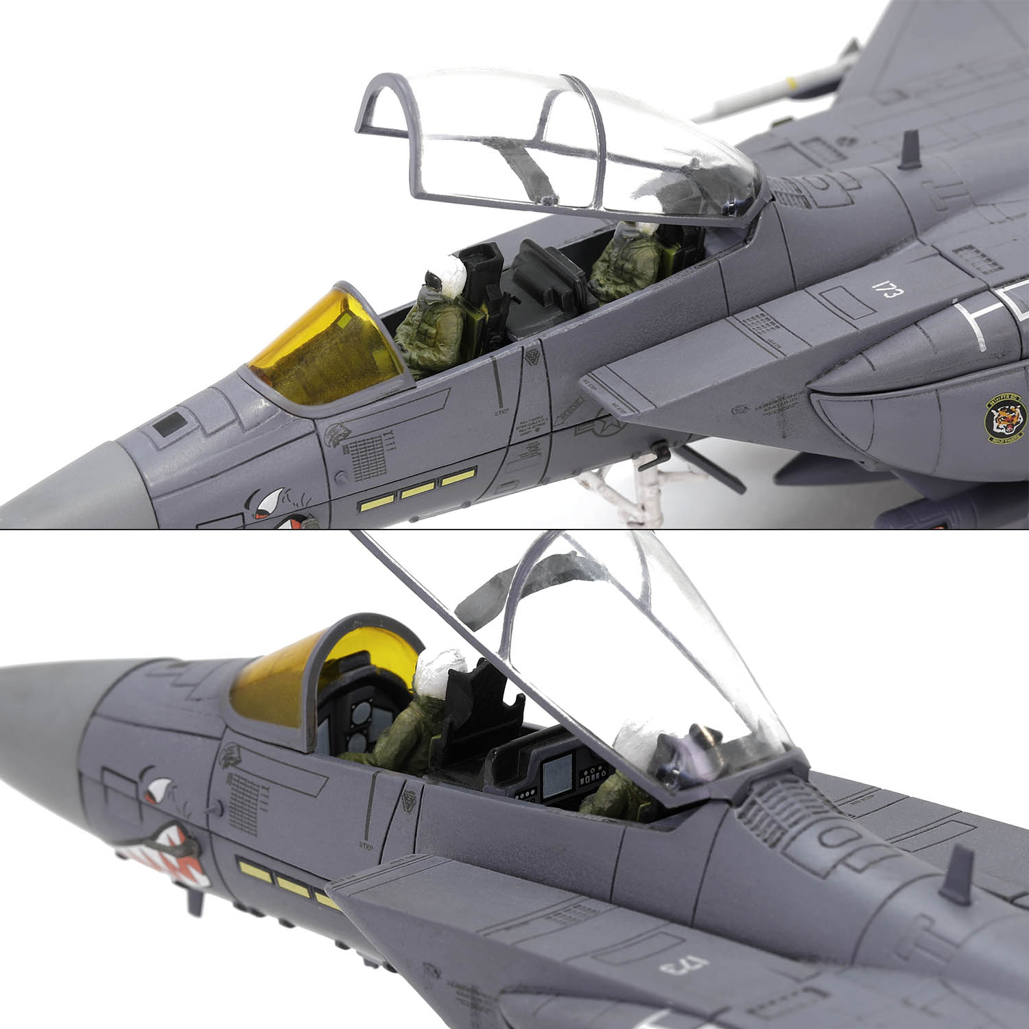 波音F-15E“打击鹰” 战斗机“鲨鱼嘴” 美国空军366联队391中队(“勇虎”中队)号机87-0173 