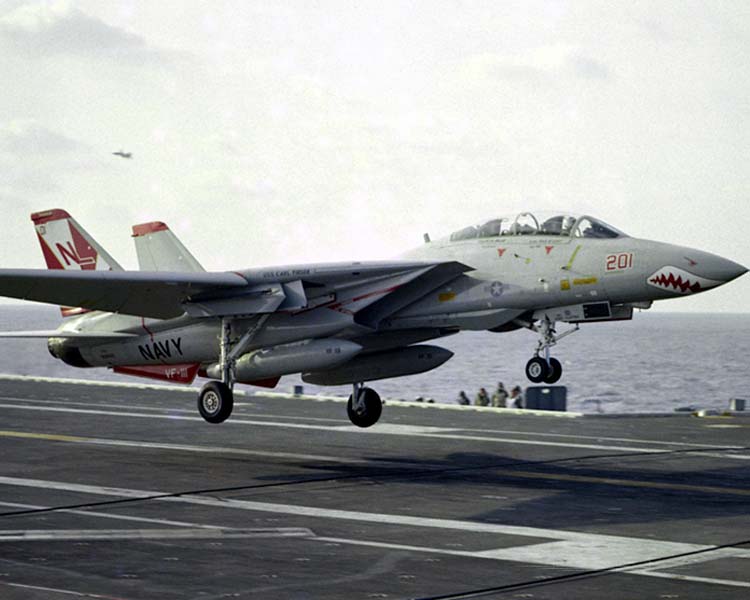 格鲁曼 F-14A "雄猫" 战斗机（NL-201）
